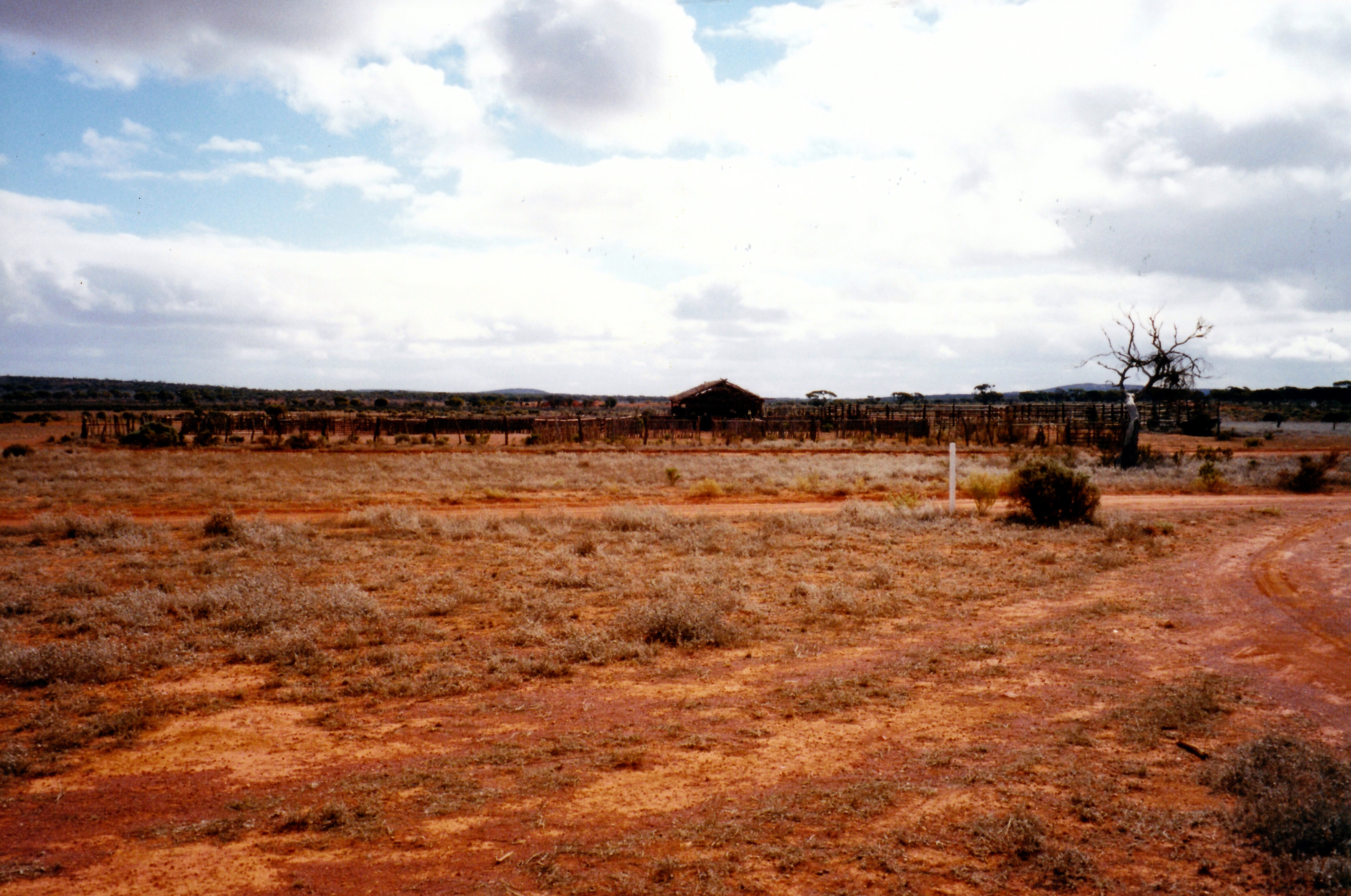 09-05-1999 02  pastoral relics near Kangaroo Well .jpg