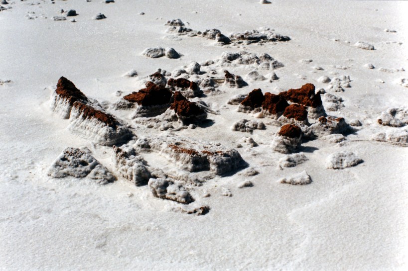 09-06-1999 10 Lake Gairdner surface detail.jpg