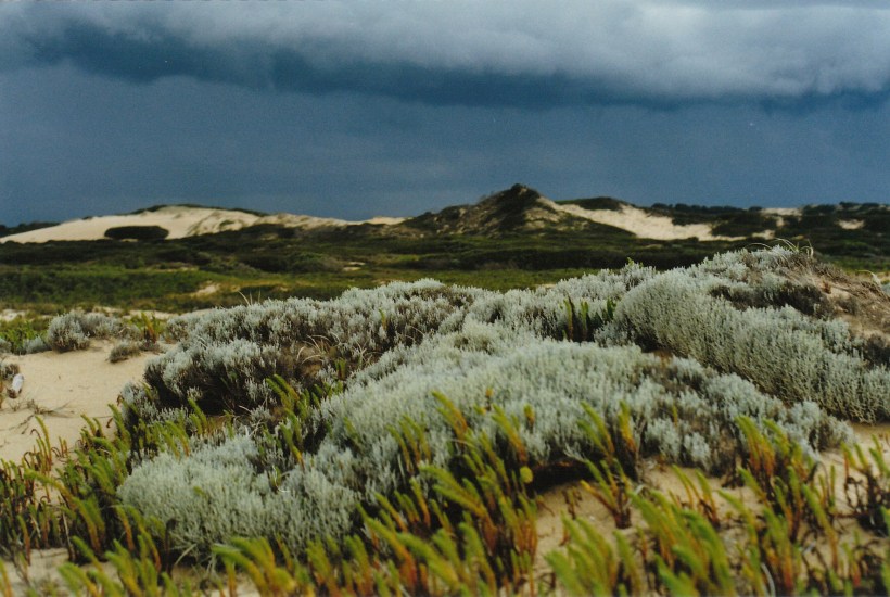 11-09-1999 02  waterhouse cons area storm.jpg