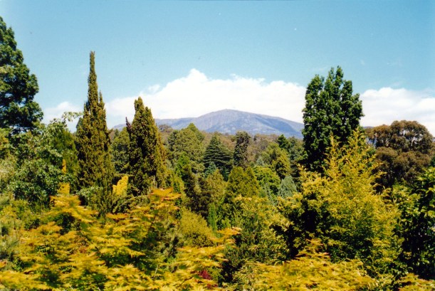 11-18-1999 mt wellington from bot gardens.jpg
