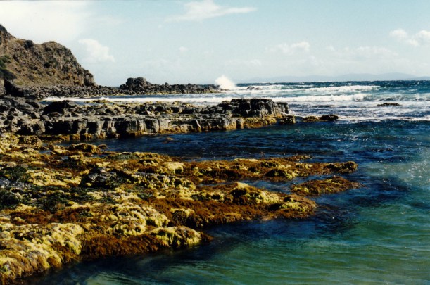 11-26-1999 roaring bay