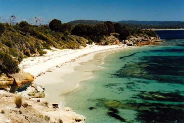 11-29-1999 whalebone Cove and slopen main bch.jpg