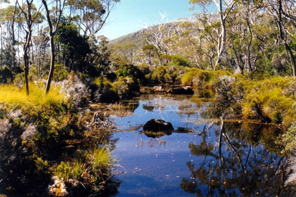 01-13-2000 on lk webster tk.jpg