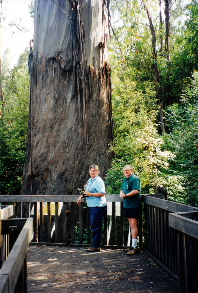 01-24-2000 Arve Forest lookout.jpg