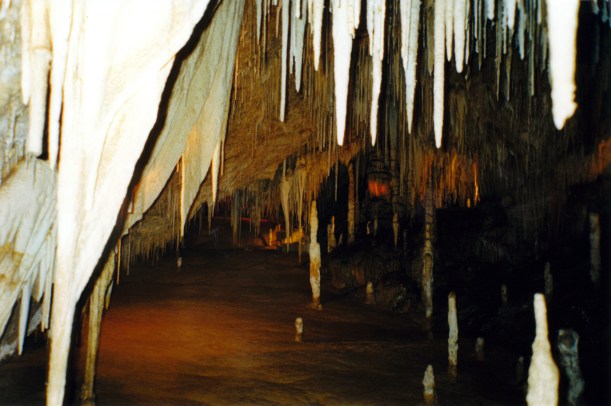 01-30-2000 Hastings Caves backlit effect.jpg