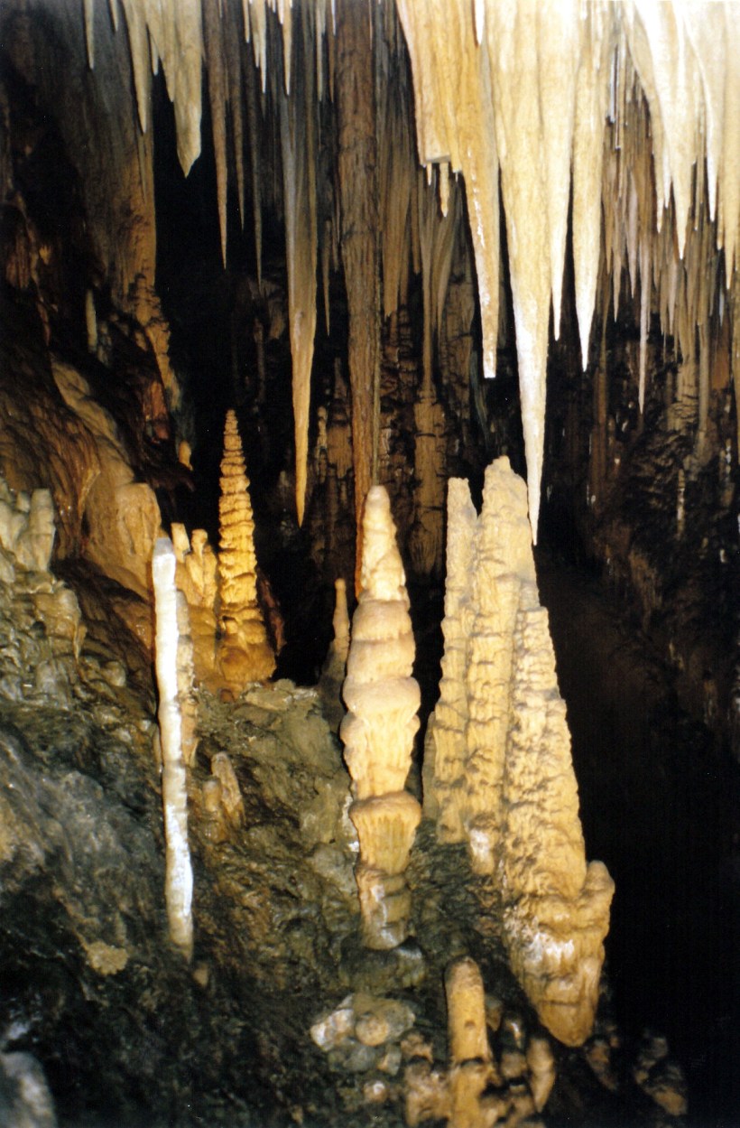 01-30-2000 hastings caves mites