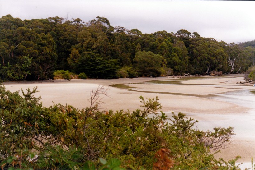 01-31-2000 01  Cockle Creek at low tide.jpg
