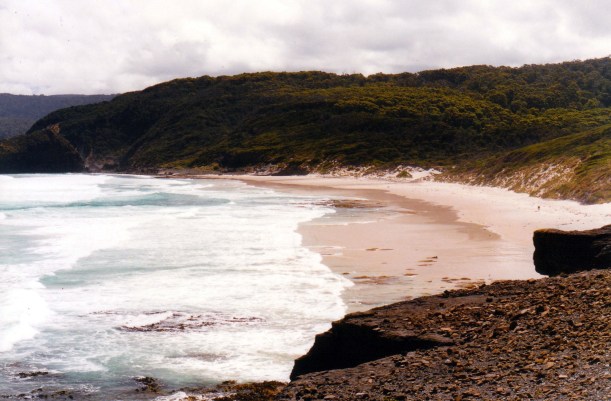01-31-2000 south cape bay beach