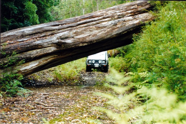 02-05-2000 Tahune Forests track blocked.jpg