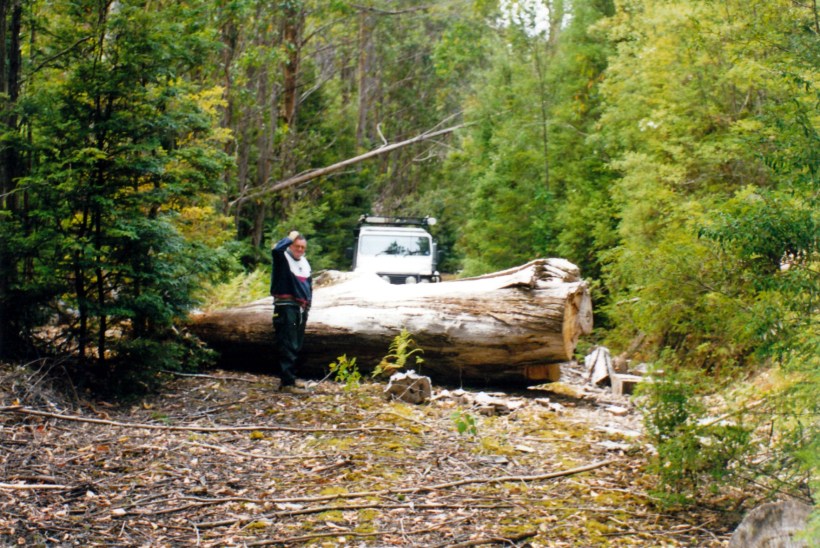 02-05-2000 track hartz tahune area