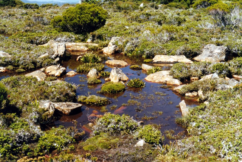 02-07-2000 05 tarn by walk track.jpg