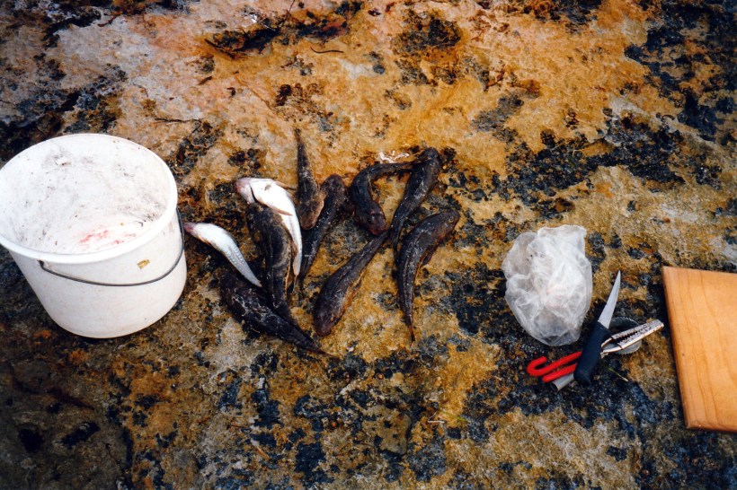 02-09-2000 caught on stras.jpg