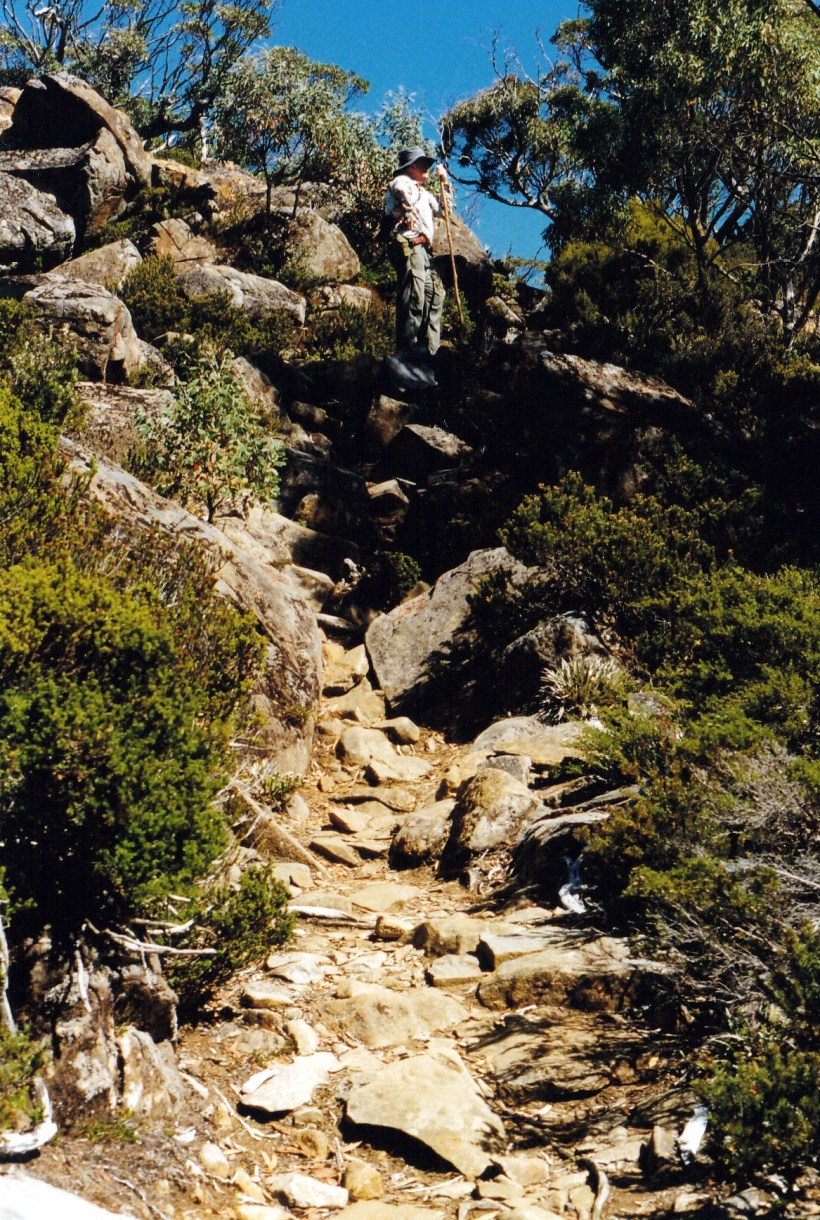 02-17-2000 02 snow gums tk