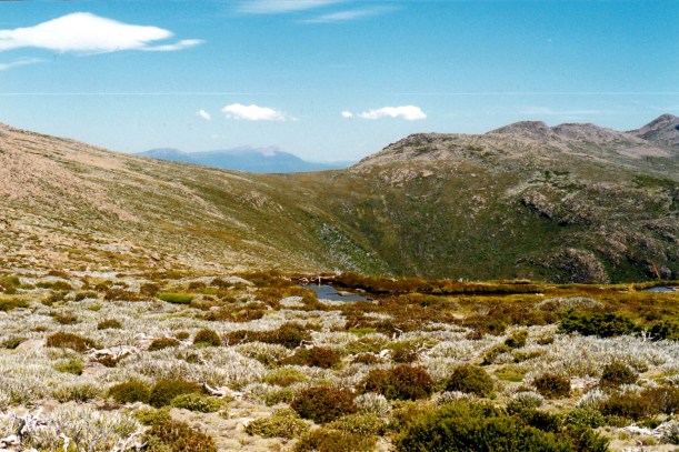 02-17-2000 23 K col.jpg