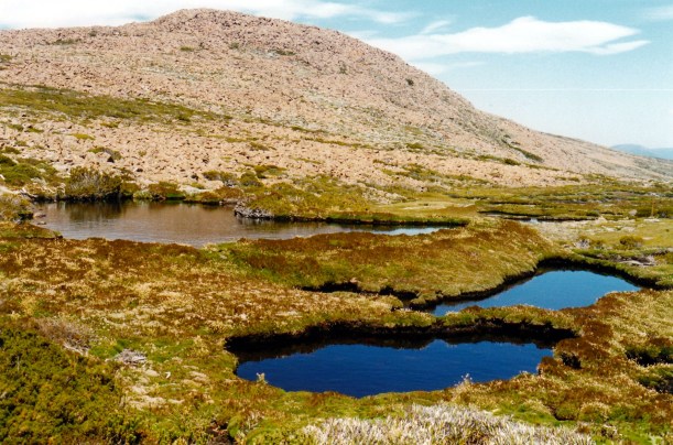 02-17-2000 24 the watcher newdegate pass