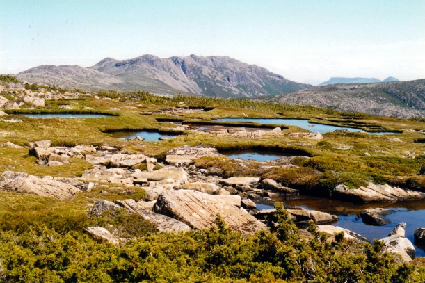 02-17-2000 25  mt field west from newdegate pass.jpg