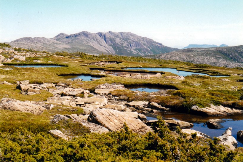 02-17-2000 25 mt field west from newdegate pass.jpg