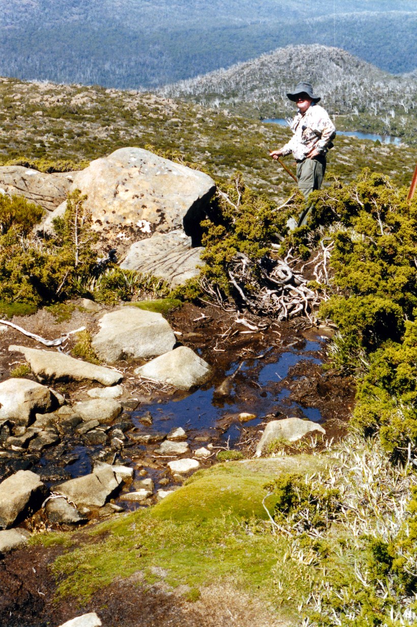 02-17-2000 26 boggy track to Tarn Shelf