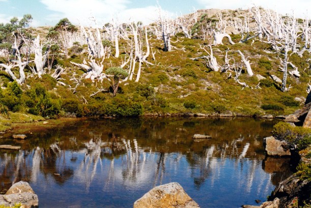 02-17-2000 29  tarn shelf scene.jpg