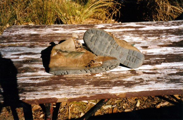 02-17-2000 34 walked hundreds of kms vale.jpg