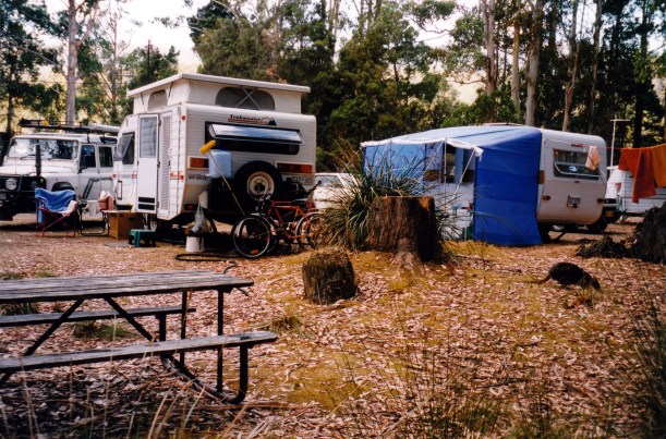 02-18-2000 01  Mt Field camp wildlife.jpg