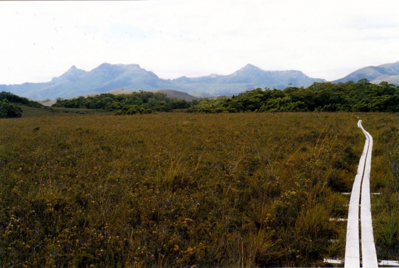 02-18-2000 14 pt davey tk.jpg