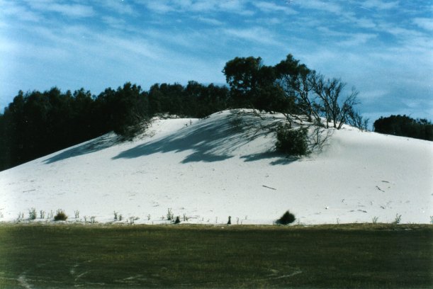 12-06-1999 Lagoon Beach dune.jpg
