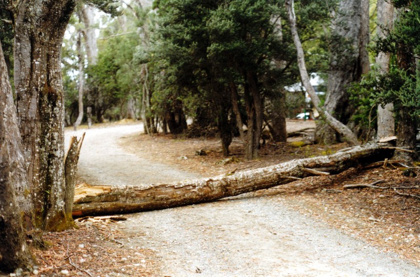 02-22-2000 windy day at Lake St Clair.jpg