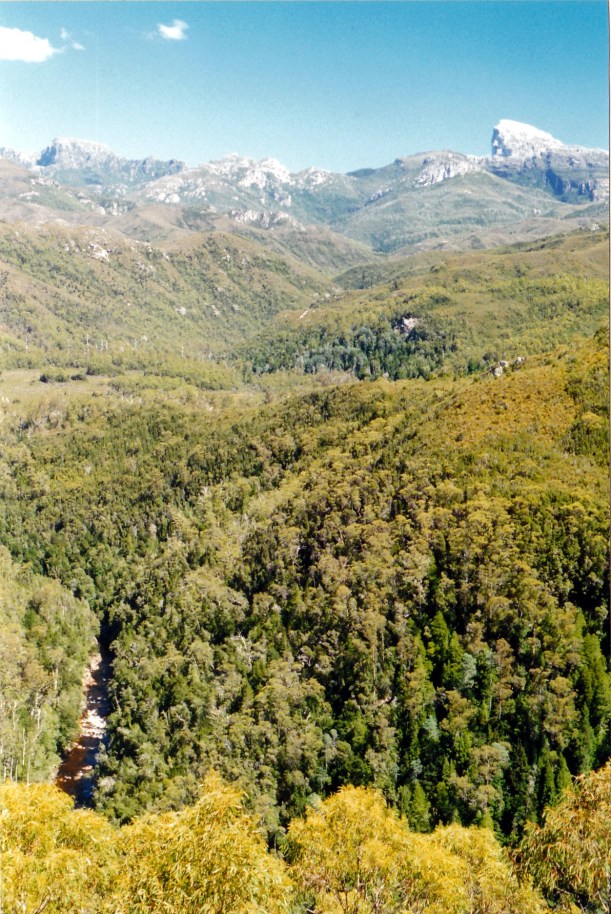 02-24-2000 frenchmans cap from donaghys lo.jpg