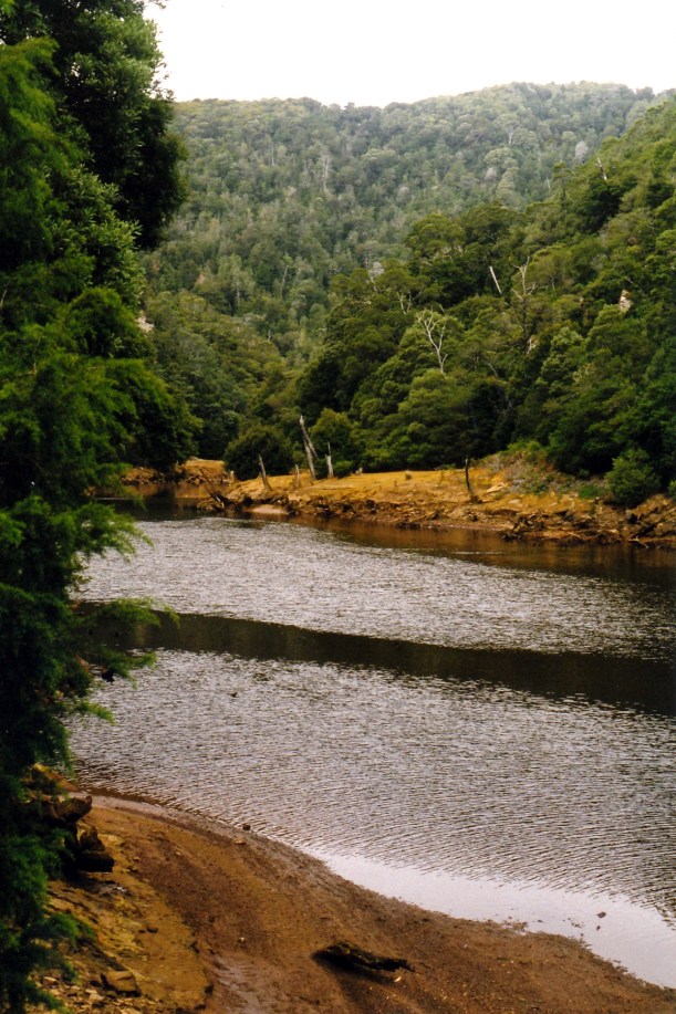 02-27-2000 king river nr teepookana.jpg