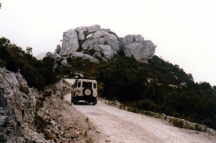 02-28-2000 01 mccall tk