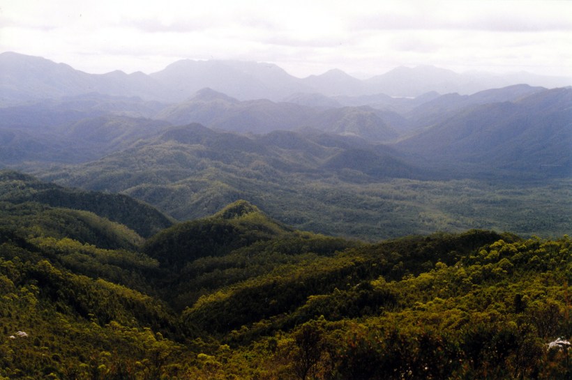 02-28-2000 08 view to Mt Owen from Mt McCall Tk.jpg