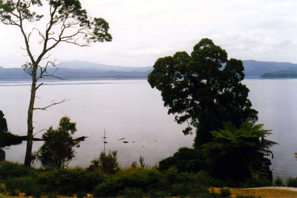 02-29-2000 07 sarah is view