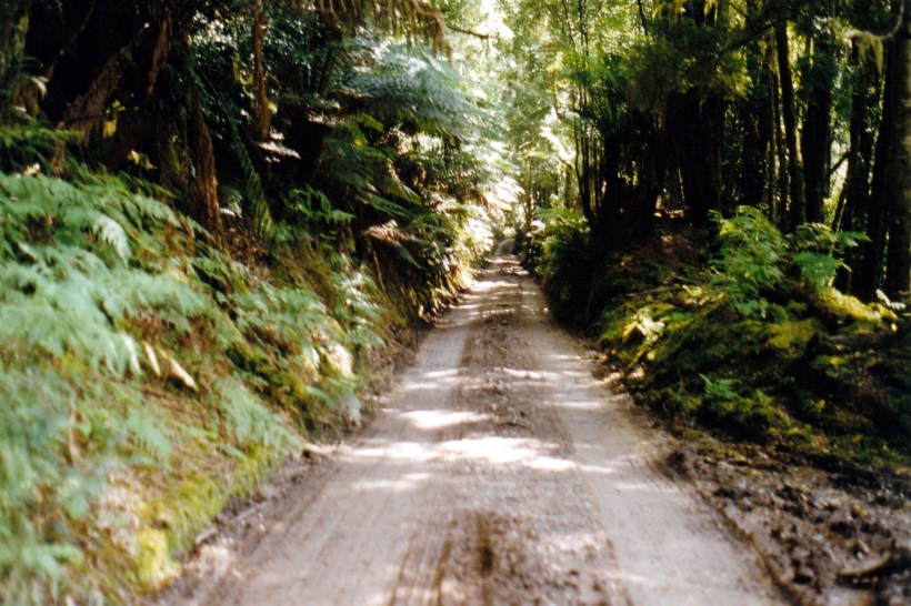 03-01-2000 01  bird r tk.jpg