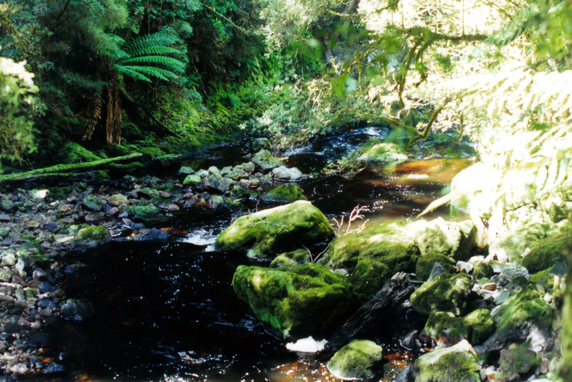 03-01-2000 03  Bird River view.jpg