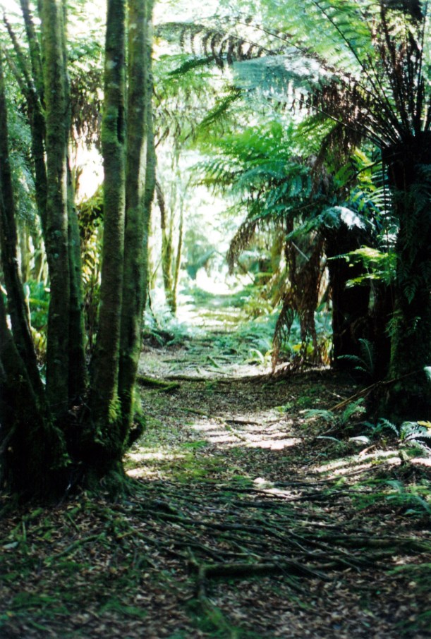 03-01-2000 06 bird r rail alignment.jpg