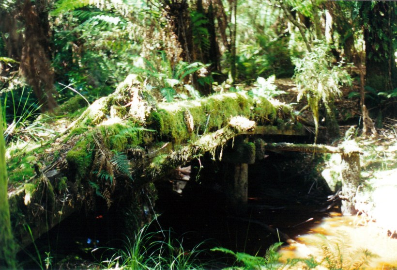 03-01-2000 07  old bridge.jpg