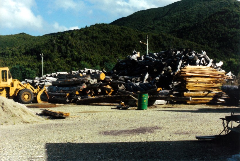 03-03-2000 huon pine stacks.jpg