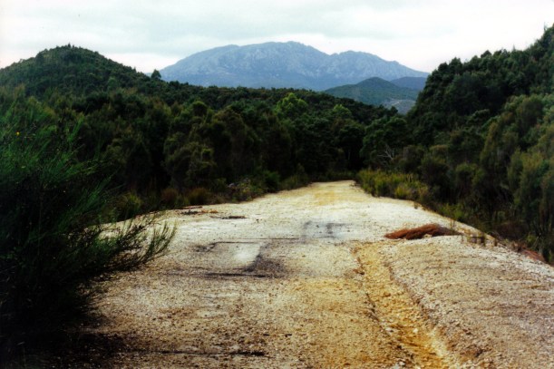 03-05-2000 old rail alignment near Queenstown.jpg
