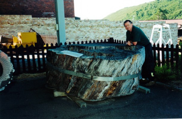 03-08-2000 huon pine log zeehan.jpg