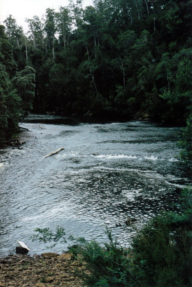 03-19-2000 01 Arthur R at Tayetea Bridge.jpg