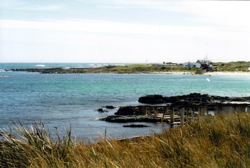 03-22-2000 Temma.jpg