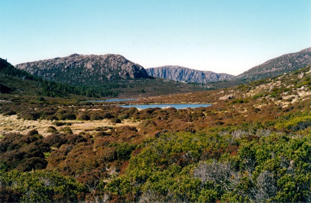 04-07-2000 08 solomons jewels.jpg