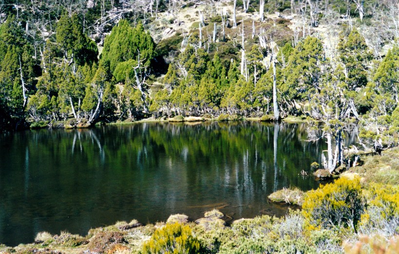04-07-2000 18 Pool of Bethesda.jpg