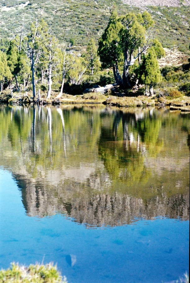 04-07-2000 19 Pool of Bethesda and reflection West Wall.jpg
