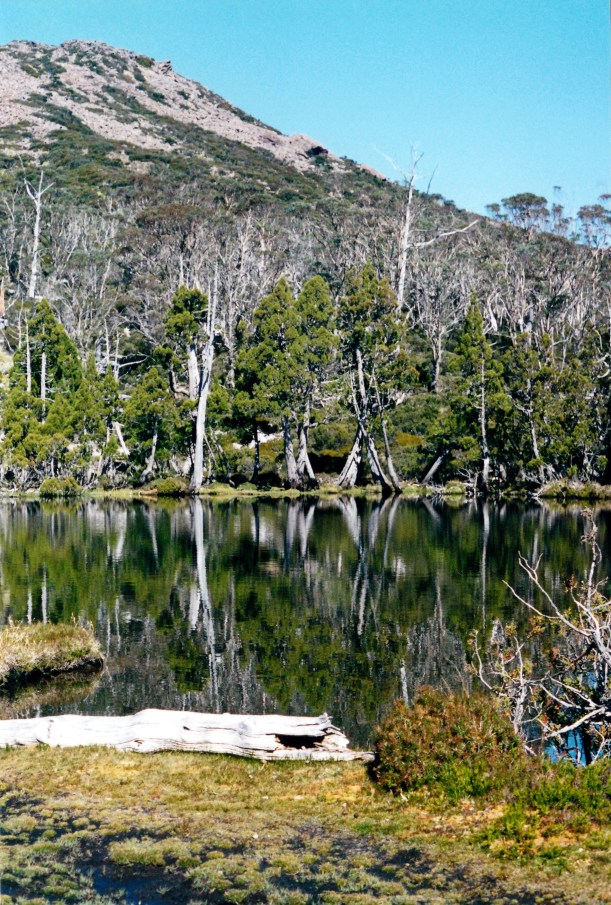 04-07-2000 21 pool of bethesda, mt jerusalem