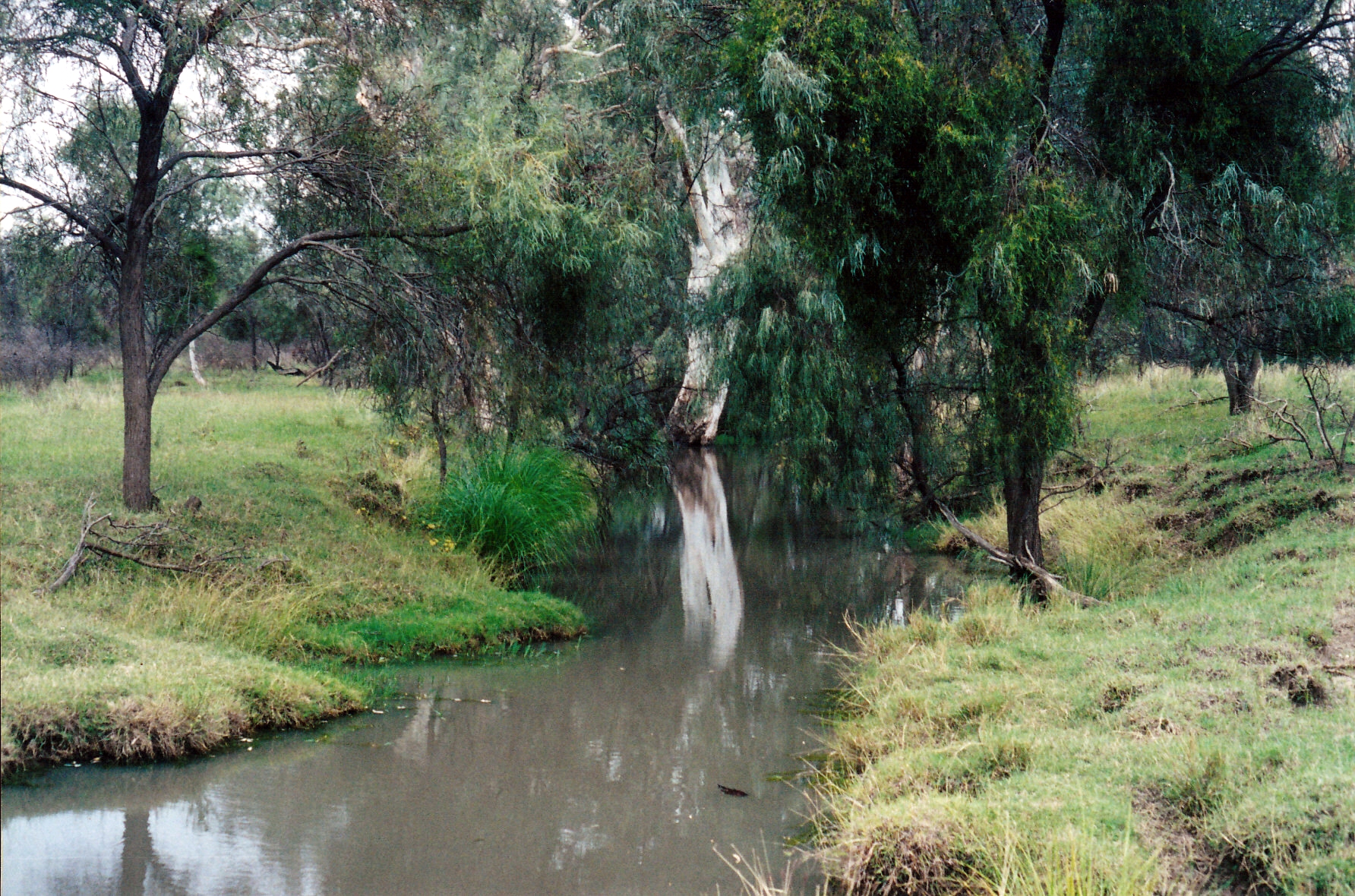 05-02-2000 barcoo waterhole tambo
