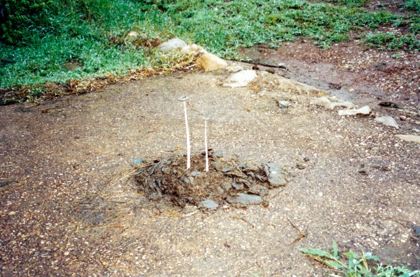 05-06-2000 poo plus rain equals.jpg