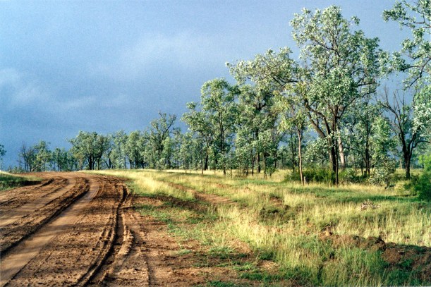 05-09-2000 near rubyvale.jpg