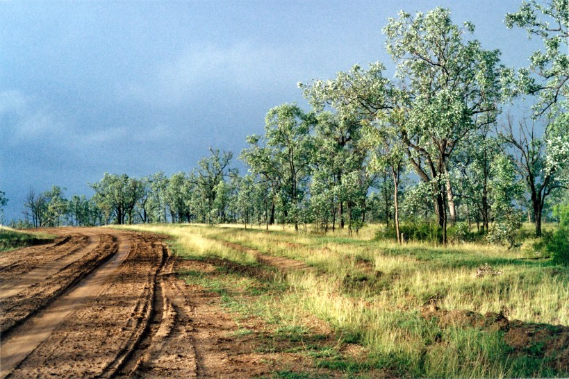 05-09-2000 near rubyvale.jpg